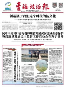 青海法治报